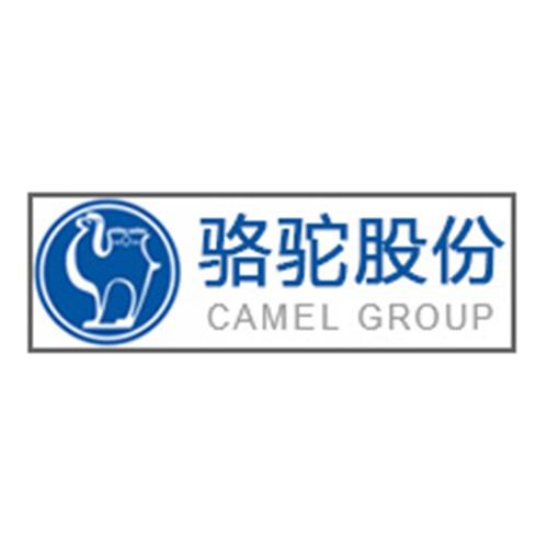骆驼股份