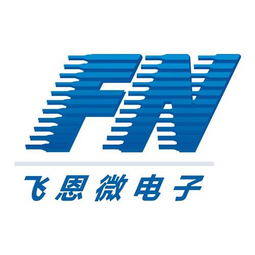 飞恩微电子