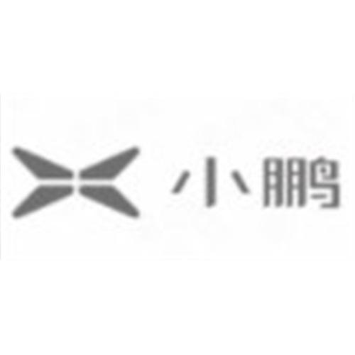 肇庆小鹏汽车有限公司