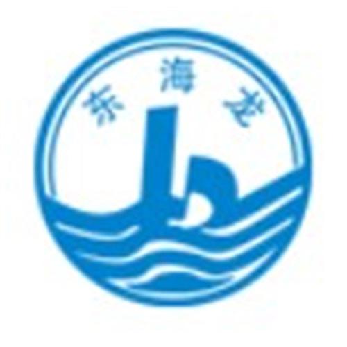 东海龙活塞